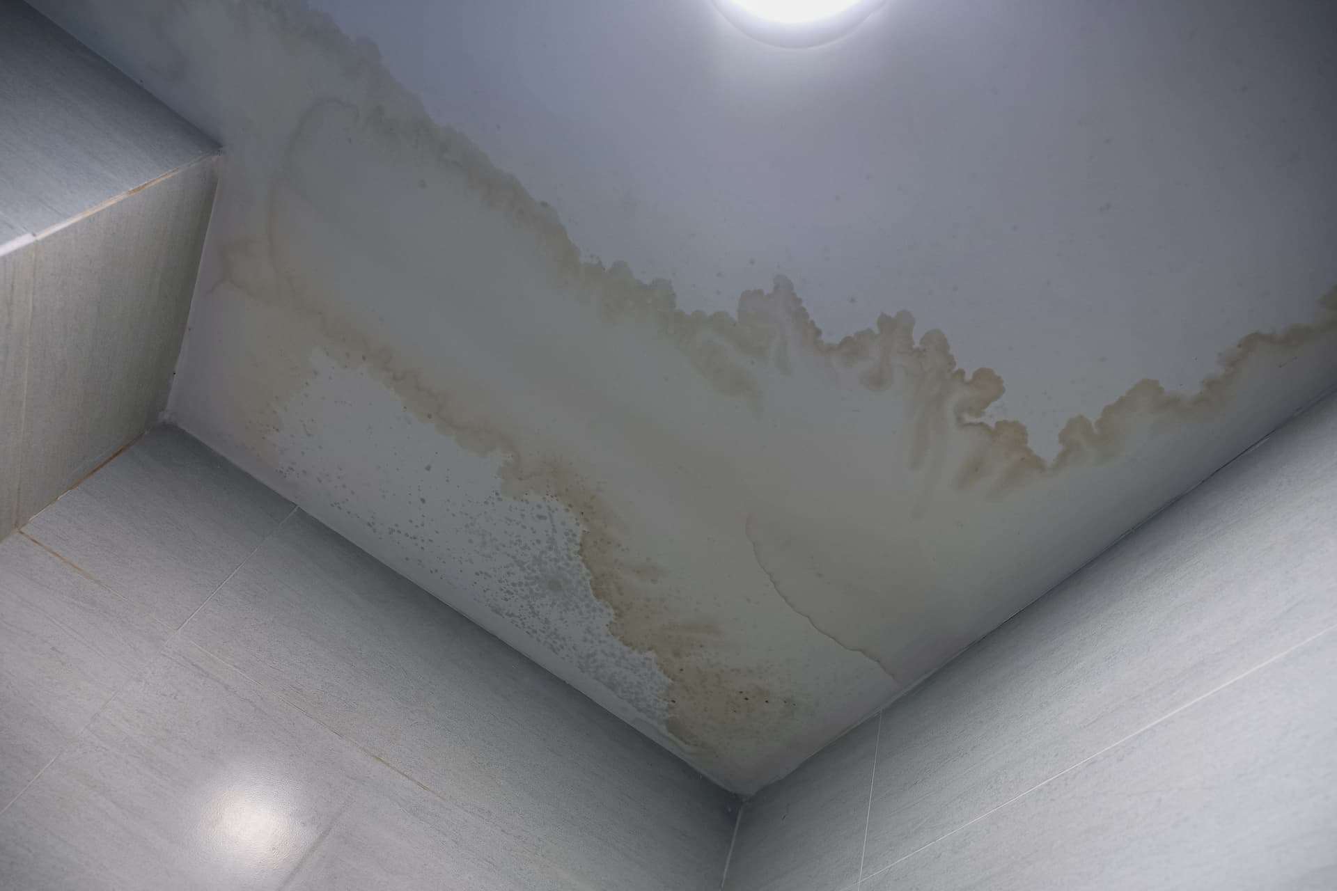 residential roof leak repair roofclaim