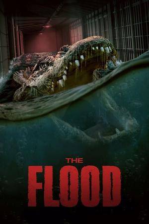 flood - legal IPTV alternative