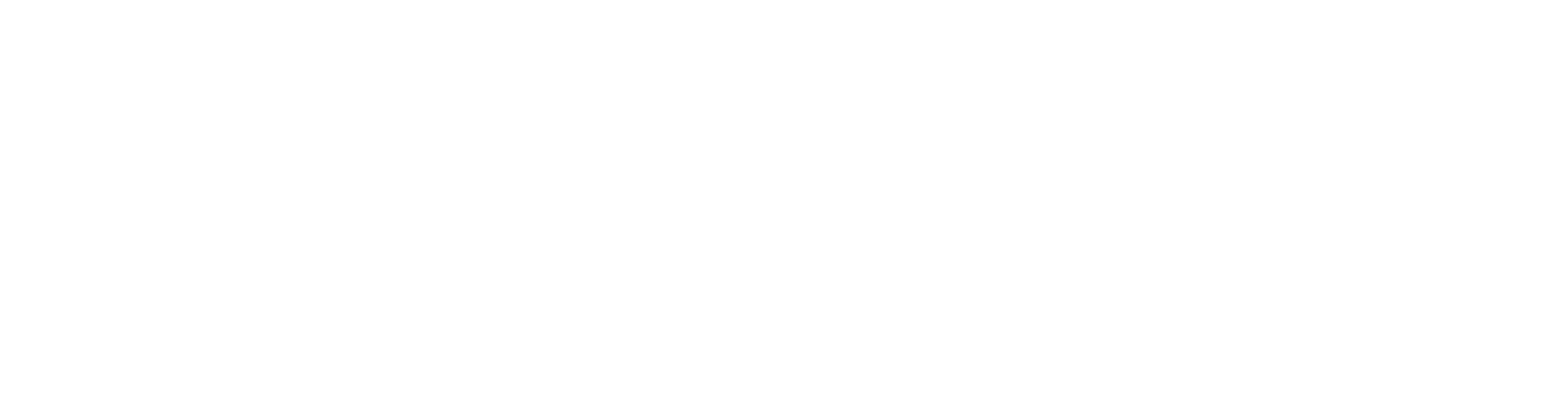 stex--logo-partner