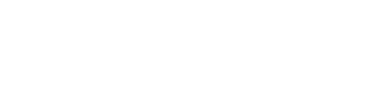 sublier-logo-partner