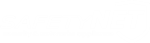 SafetyNET white logo