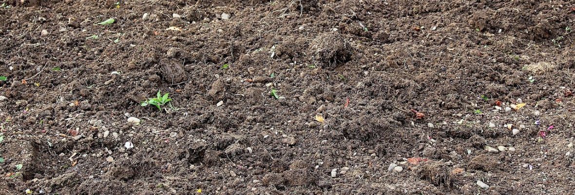 Effiziente Bodenabsaugung im Garten- und Landschaftsbau – Der Saugbagger als ideale Lösung Effiziente Bodenabsaugung im Garten- und Landschaftsbau – Der Saugbagger als ideale Lösung
