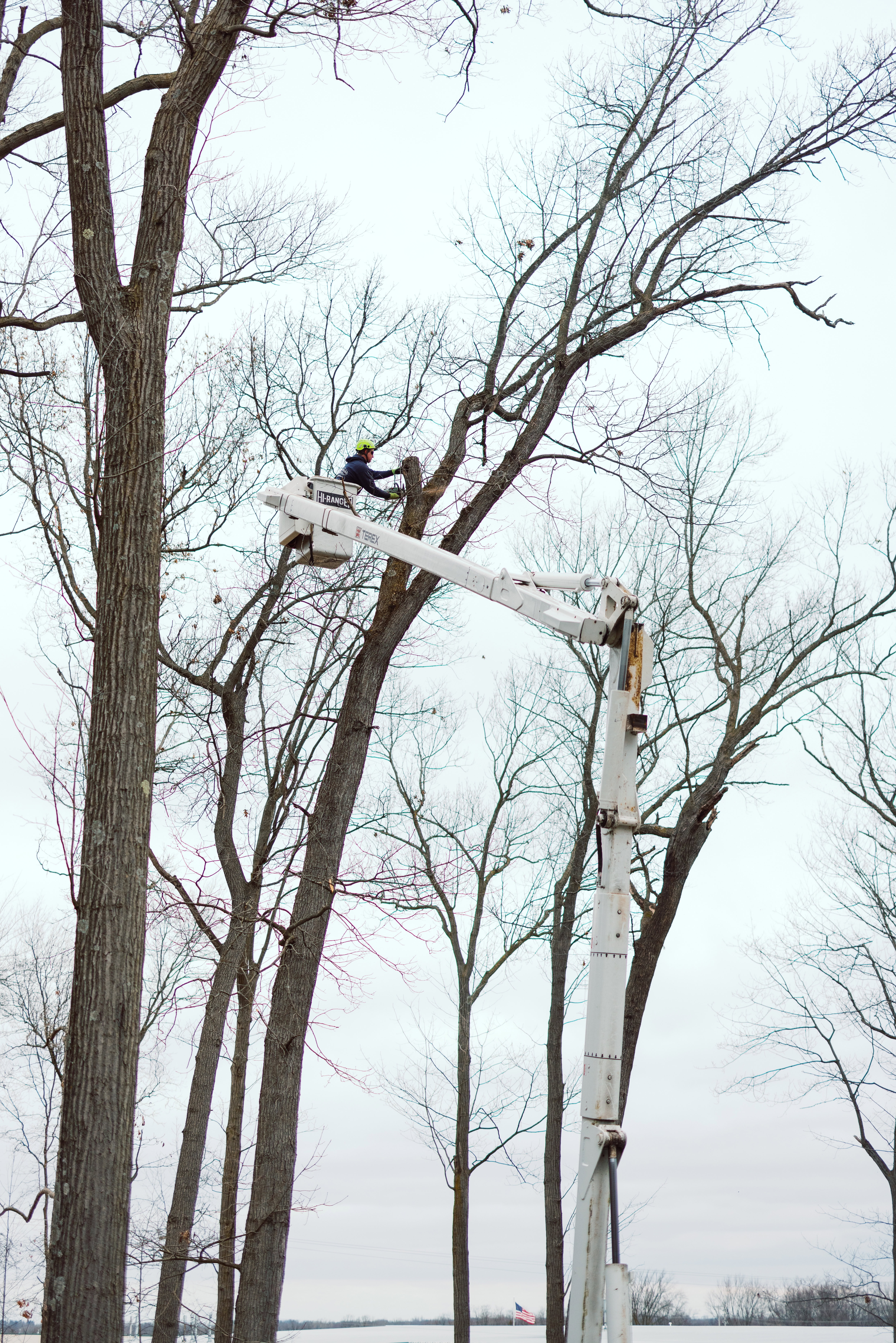 Large tree removal service in Clarkston, MI by local tree service