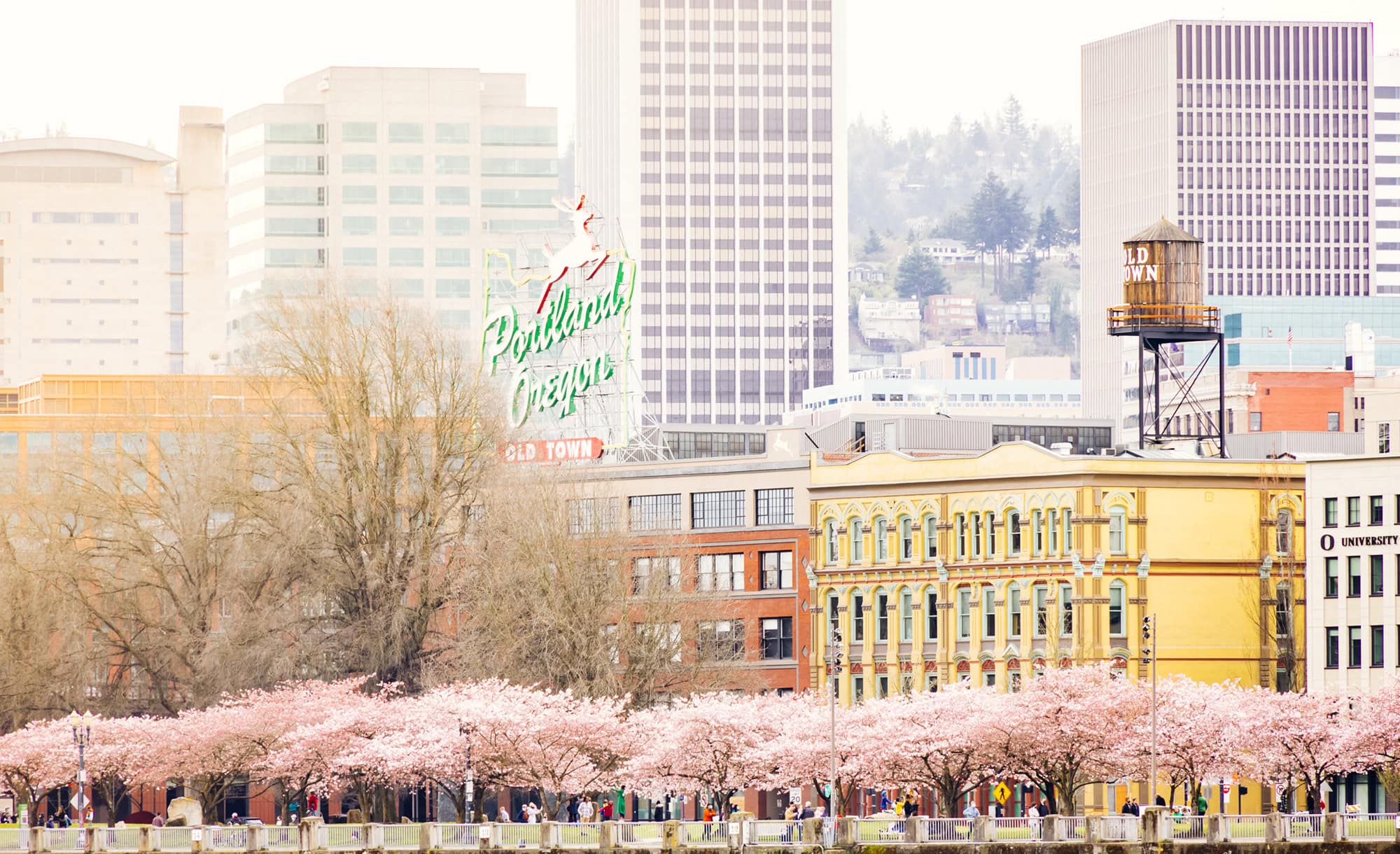 View of portland oregon