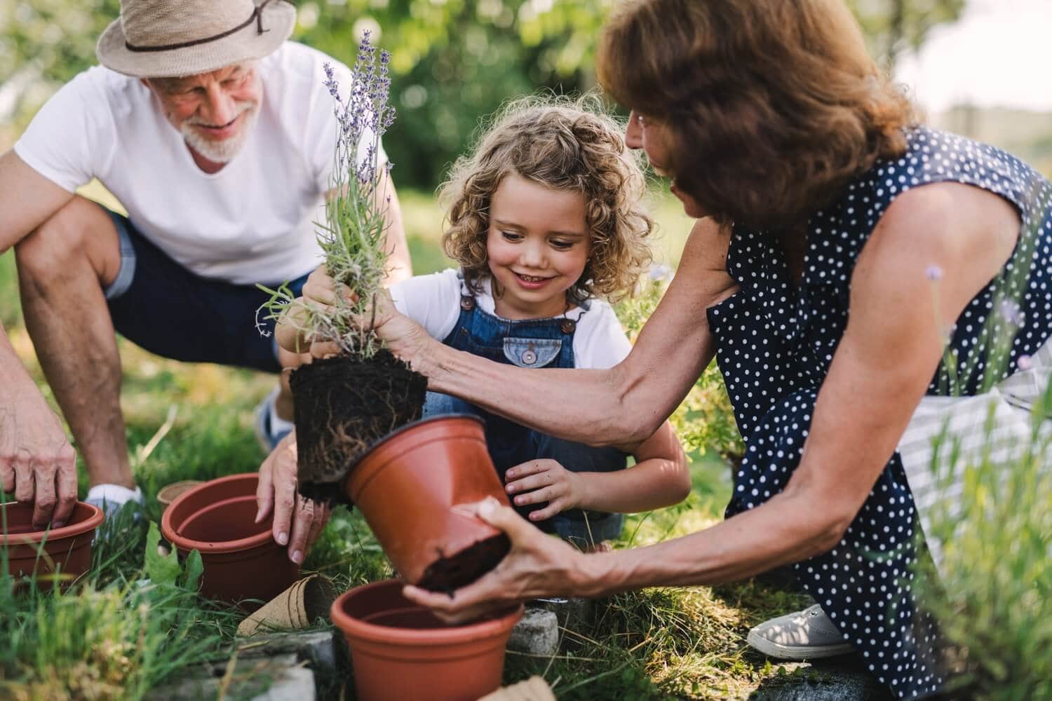 State-Sponsored Retirement Plans: What Small Businesses Need to Know
