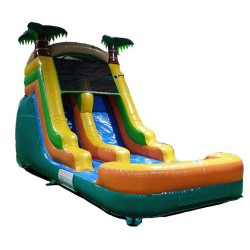 13 Foot Palm Tree Themed Water Slide with Splash Landing