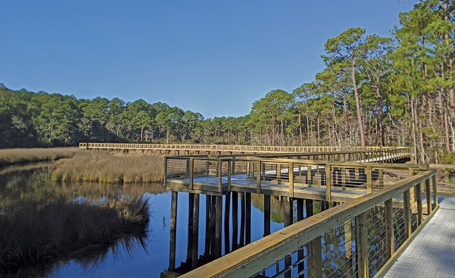 Marshwalk Along LaMotte Bayou