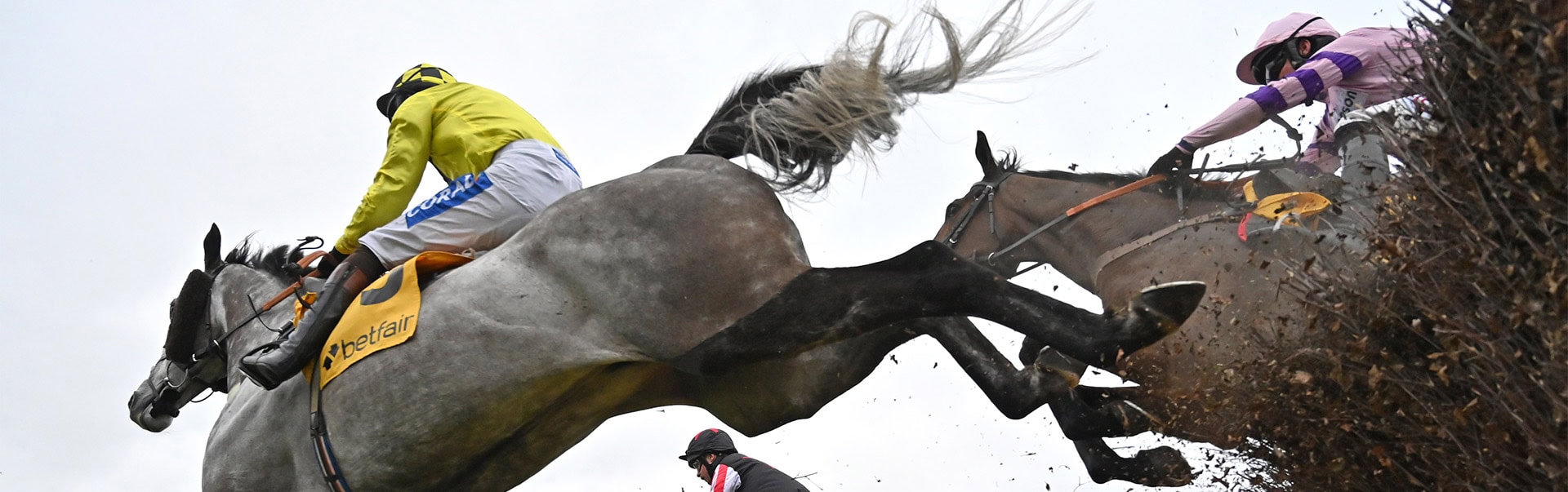 Below point of view, racing horse competition, shutterstock.
