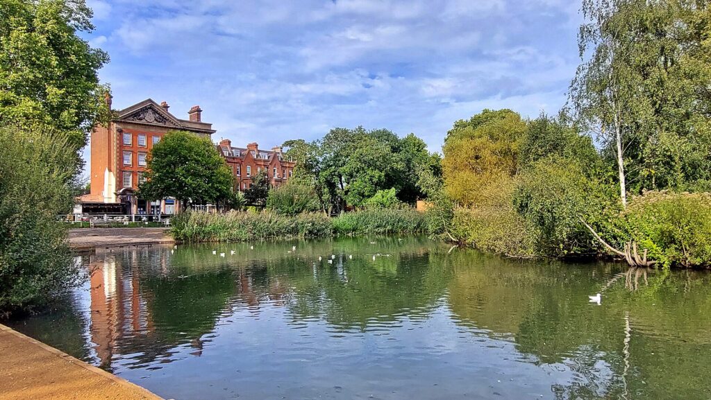 Barnes Pond, with houses on the far side of the green. Photo: Mark Percy, CC BY-SA 2.0