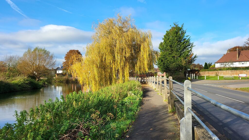 The River Mole beside Mill Road, Cobham. Photo: James Emmans, CC BY-SA 2.0
