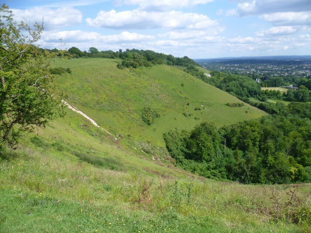 The chalk grassland scarp of the North Downs at Colley Hill, next to Reigate Hill. Photo: Marathon, CC BY-SA 2.0