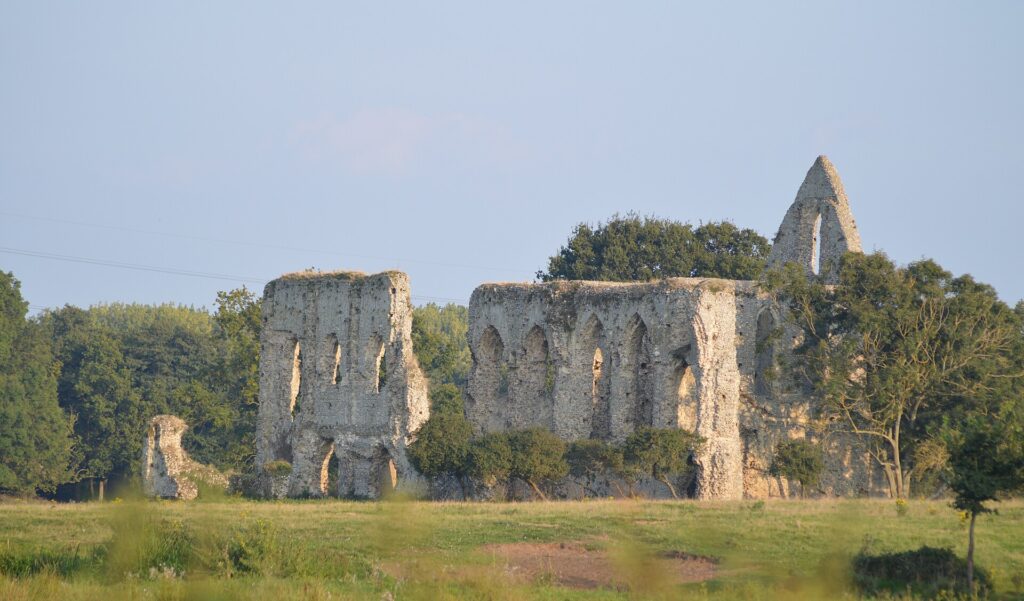 The ruins of Newark Priory in meadows beside the River Wey near Pyrford. Photo: Datatrack, CC BY-SA 3.0