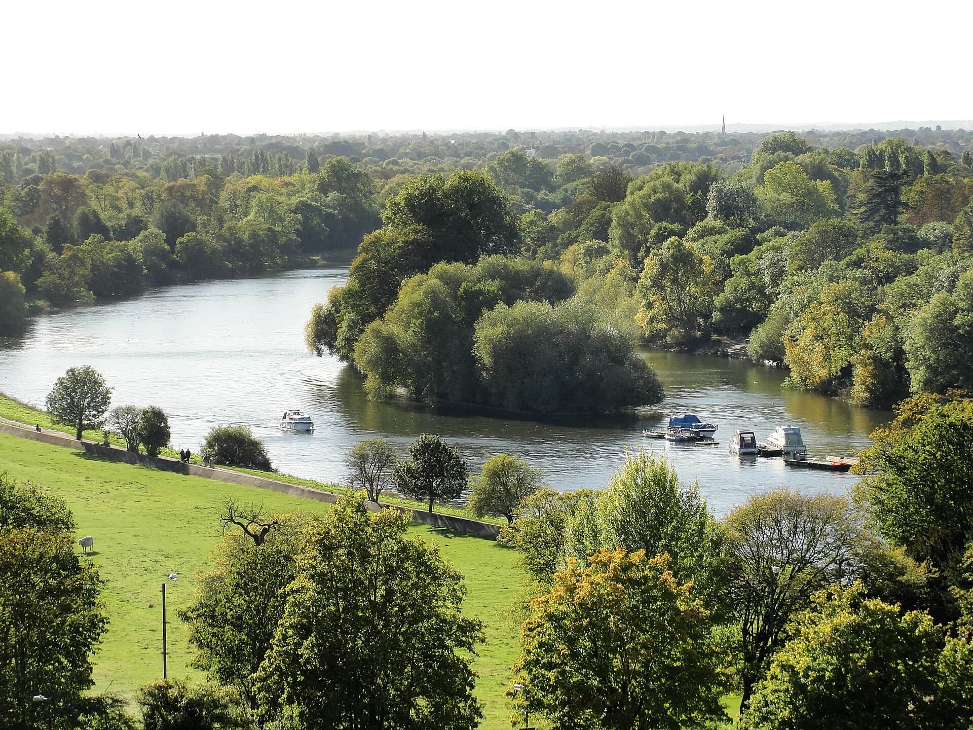 The view of the Thames from Richmond Hill