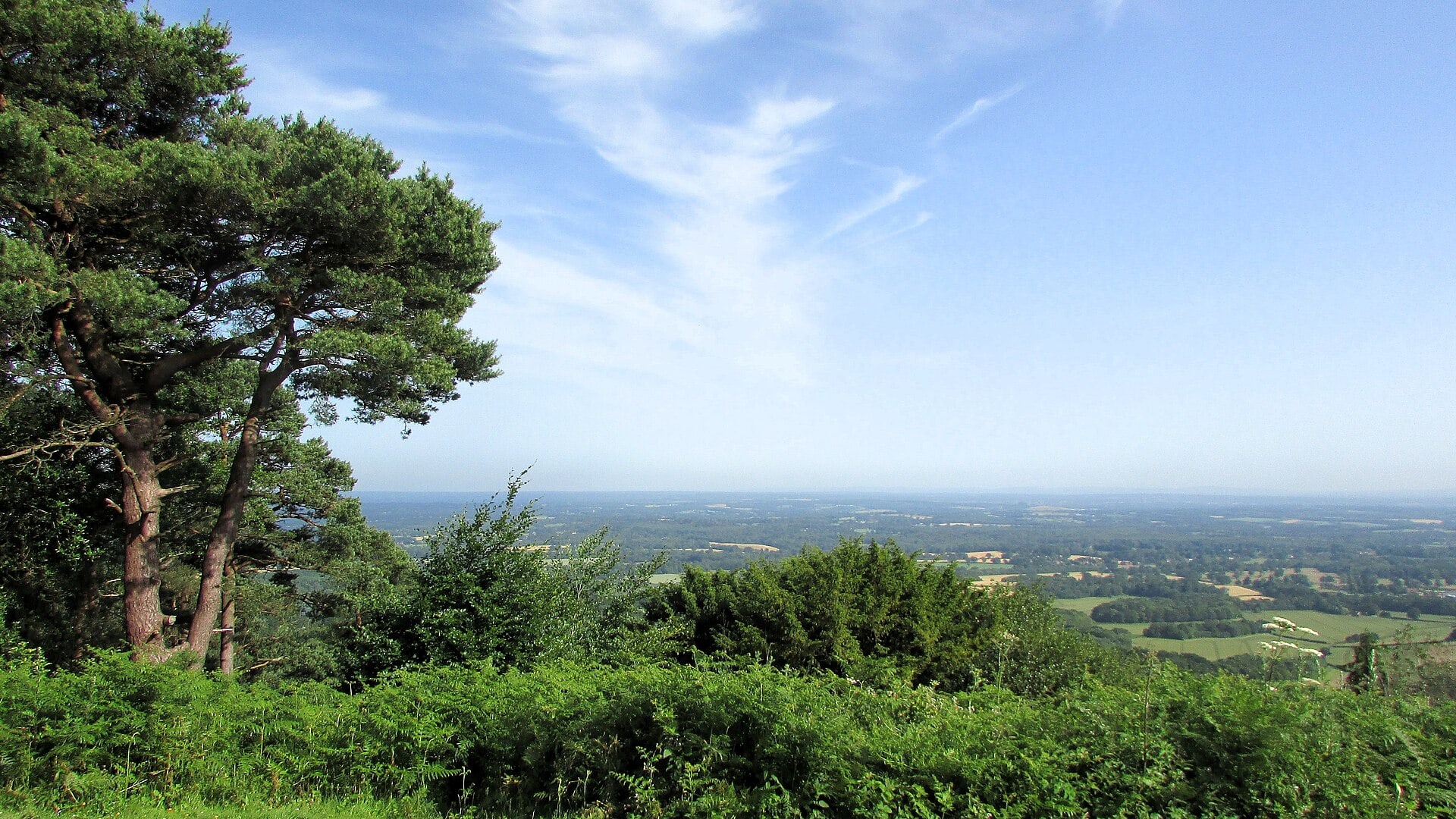 View south-east from Leith Hill across the Surrey and Sussex Weald