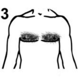#3