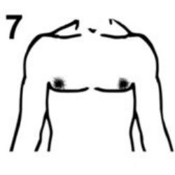 #7
