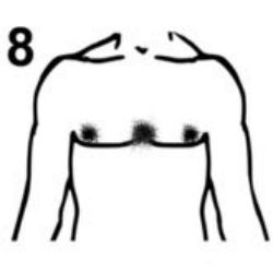 #8