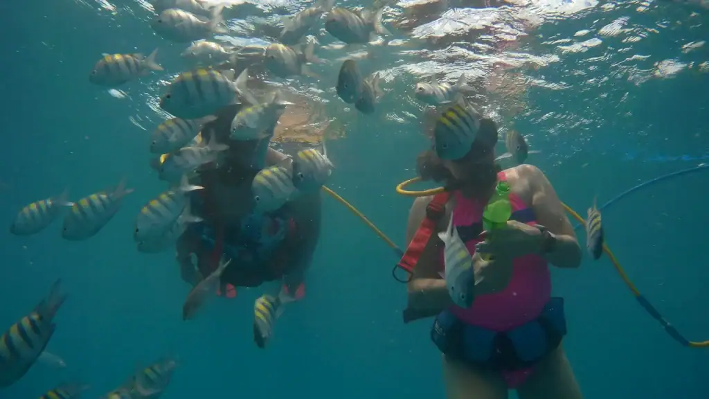 Small-group SNUBA Adventure in the blue-green coastal water of Sint Maarten