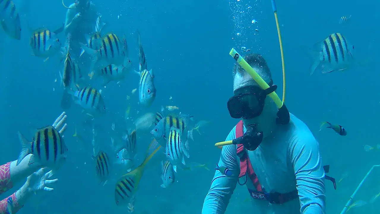 SNUBA guest surrounded by tropical fish in clear Caribbean water in Sint Maarten