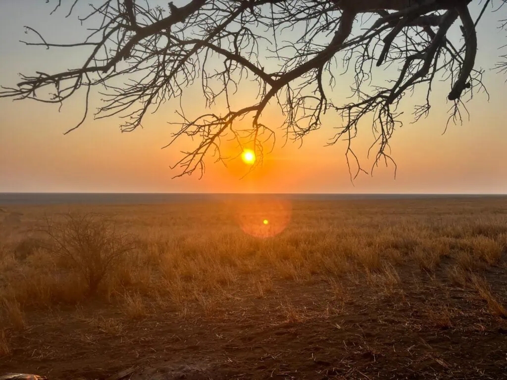 Die Makgadikgadi Pans
