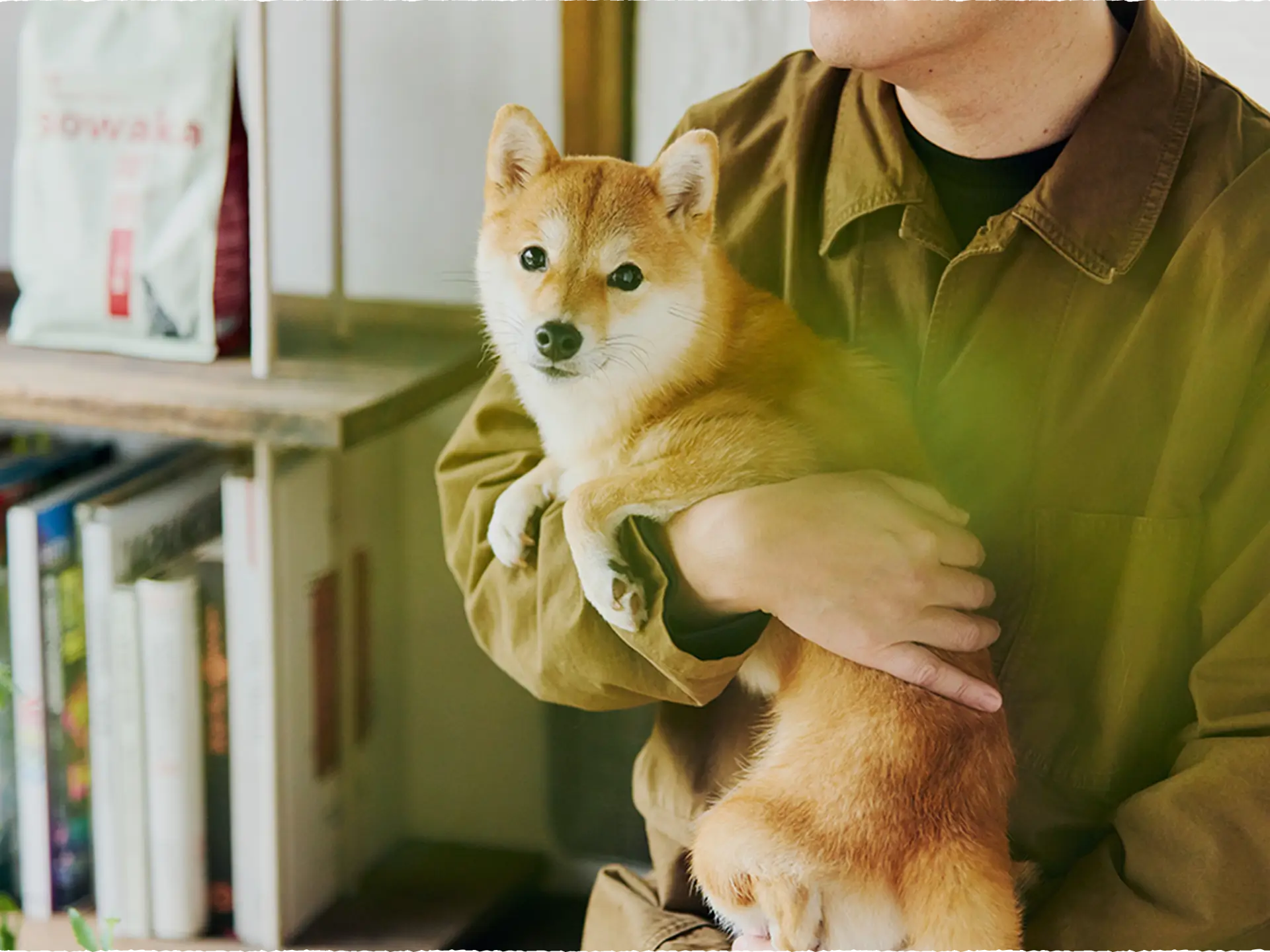 心筋症の犬にも安心な無添加・低脂肪設計のドッグフード