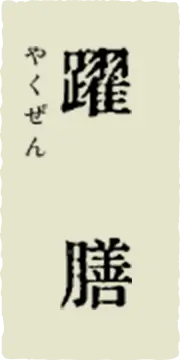 躍膳（やくぜん）特別栄養食【sowaka】｜国産無添加の特別療法食プレミアムドッグフード