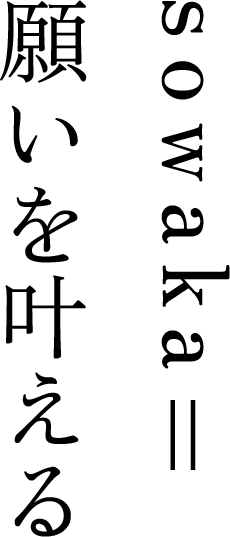 心筋症の進行に配慮し、無添加にこだわった和漢ドッグフード