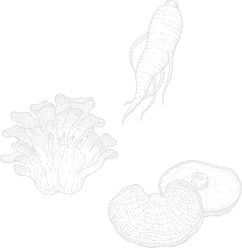 心臓肥大・弁膜症など心臓疾患を抱える愛犬に毎日安心して与えられる特別療法食