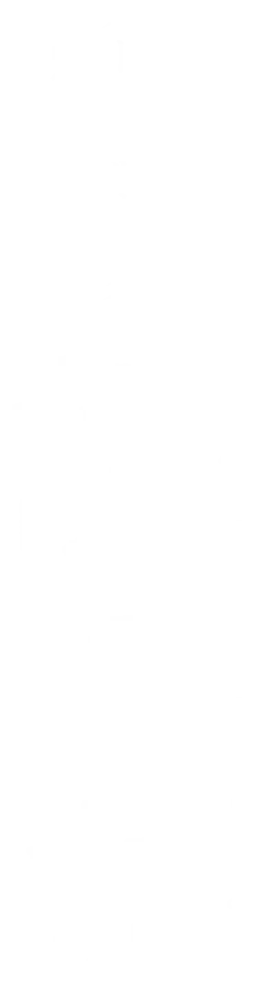 パーソナルオーダー特別療法食 観音力