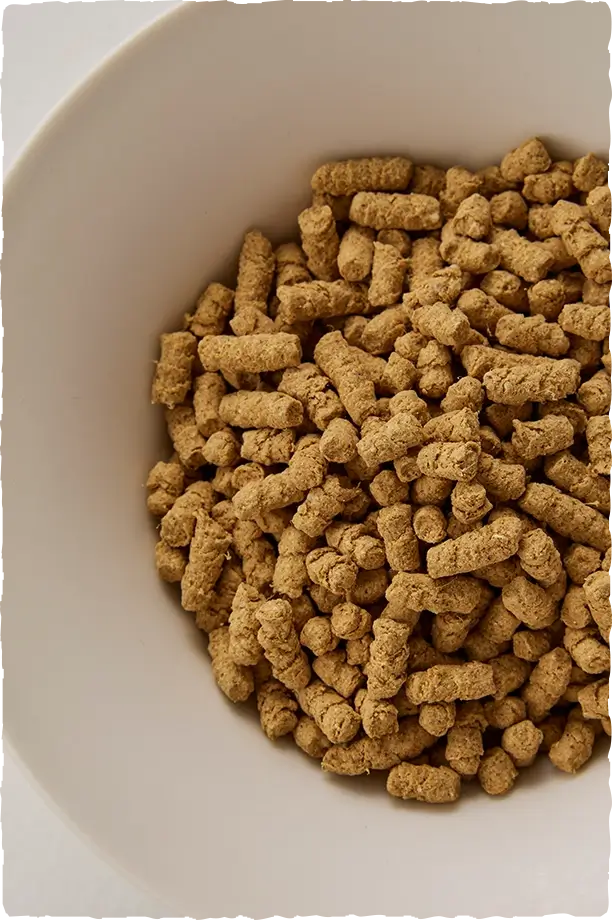 総合栄養食 完膳食【sowaka】ドッグフード