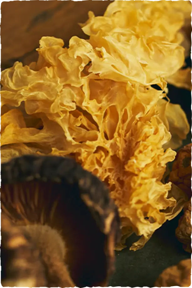 【sowaka 完膳食】シニア犬（8歳以上）向け総合栄養食