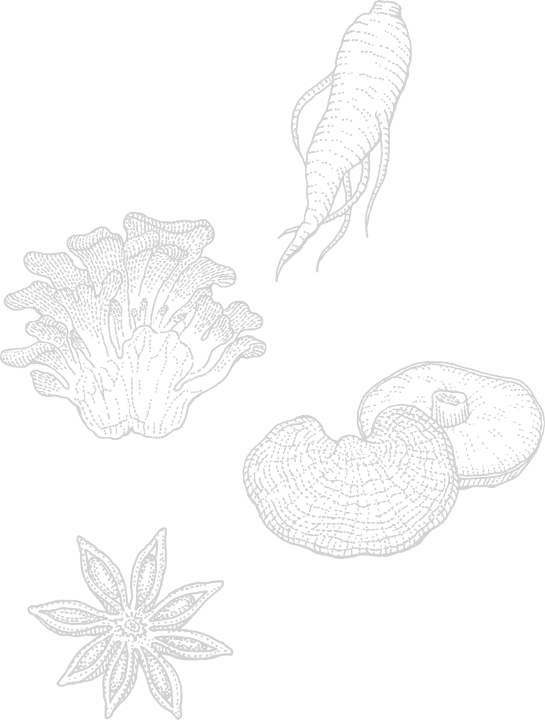 総合栄養食 完膳食