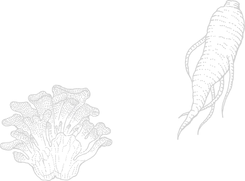 香りと旨味を引き出す素材