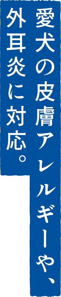 涙やけ対策にもおすすめの無添加・低アレルゲンドッグフード