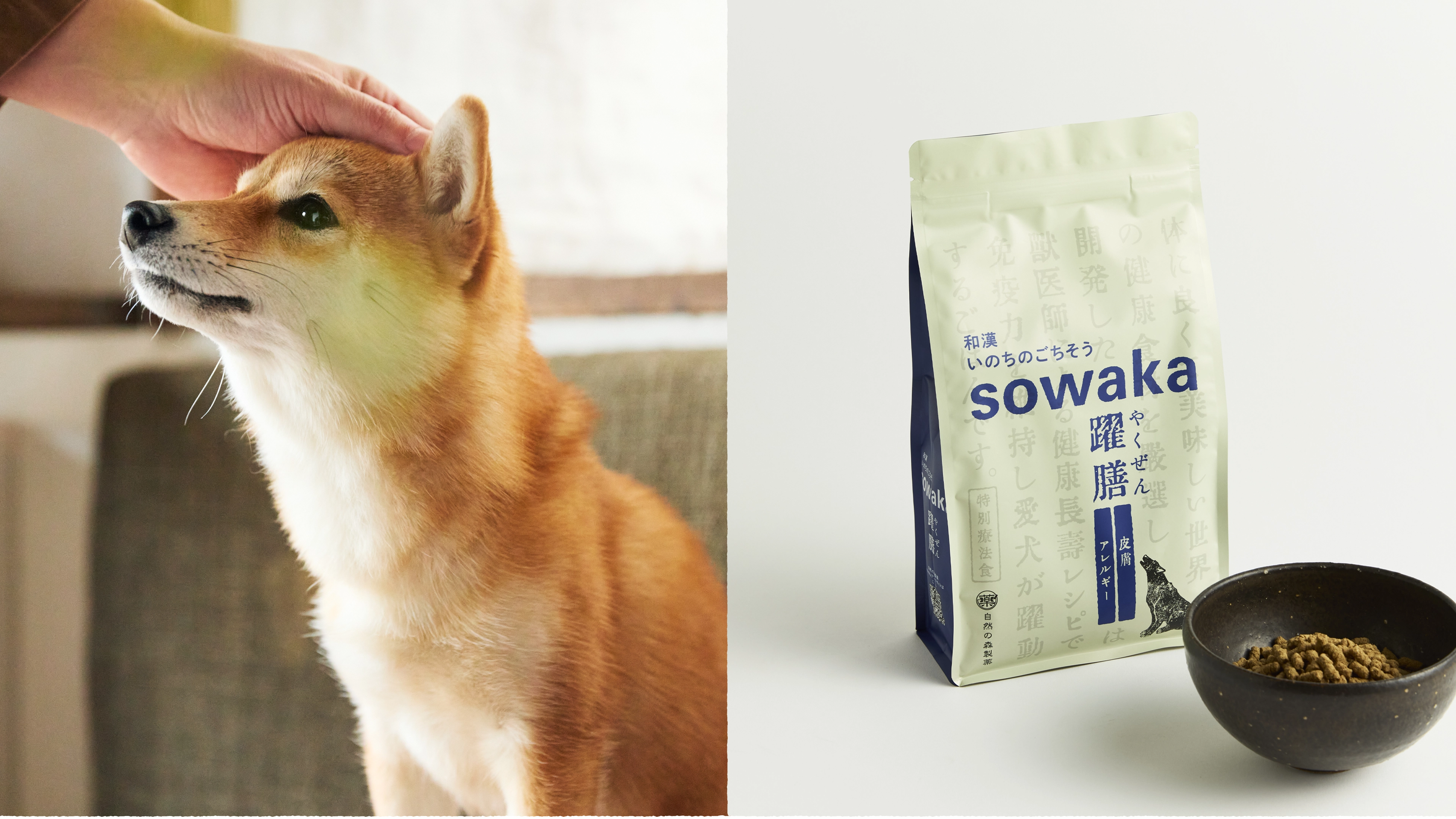 皮膚炎に悩む犬のための無添加ドッグフードsowaka