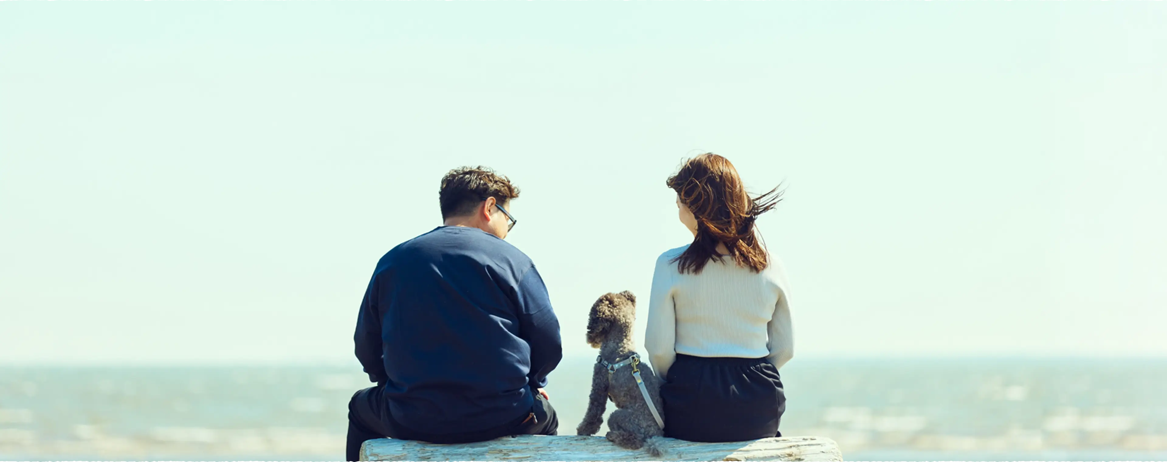 愛犬のストルバイト結石や腎結石の再発防止を考えた自然の力で腎臓をいたわる和漢ドッグフード