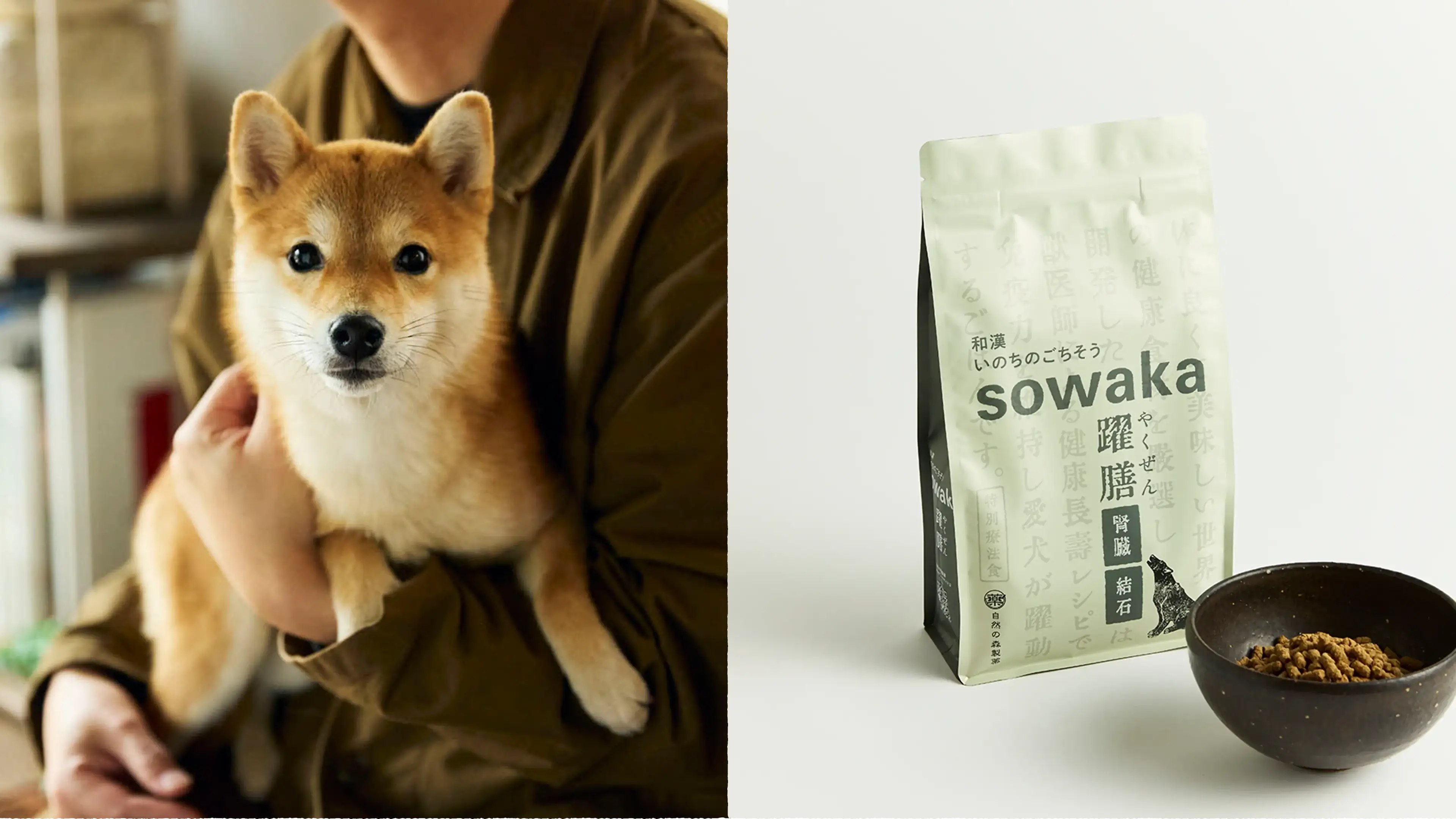 犬の腎臓病・急性腎不全・膀胱炎・結石（ストルバイト・腎結石）に配慮し、リン・タンパク質を調整した特別療法食