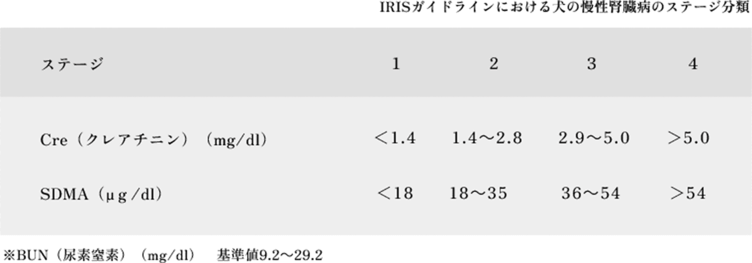 犬のクレアチニン値を管理したい飼い主向けの低リンごはんsowaka