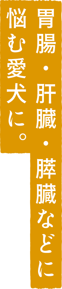 肝機能サポートと胃腸ケアを両立した【sowaka】肝臓・膵臓・消化器用