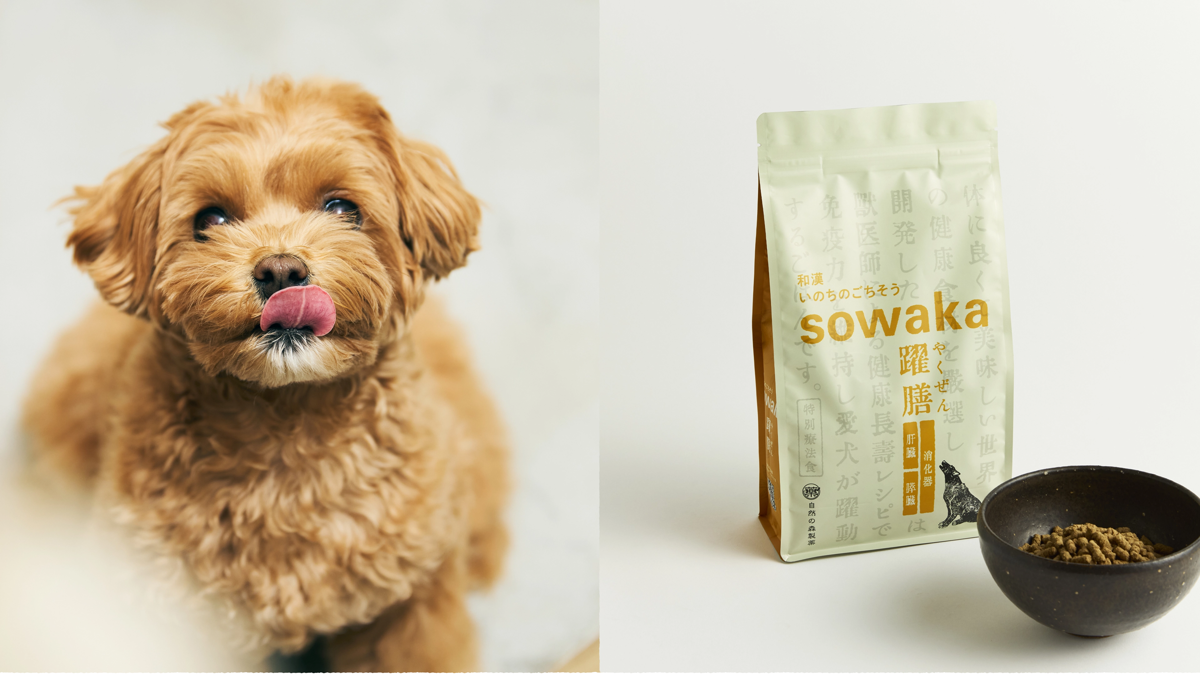 IBD・慢性腸炎の犬におすすめの自然派ドッグフード