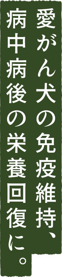 愛がん犬の体力維持にDHA・EPAを配合した栄養ごはん