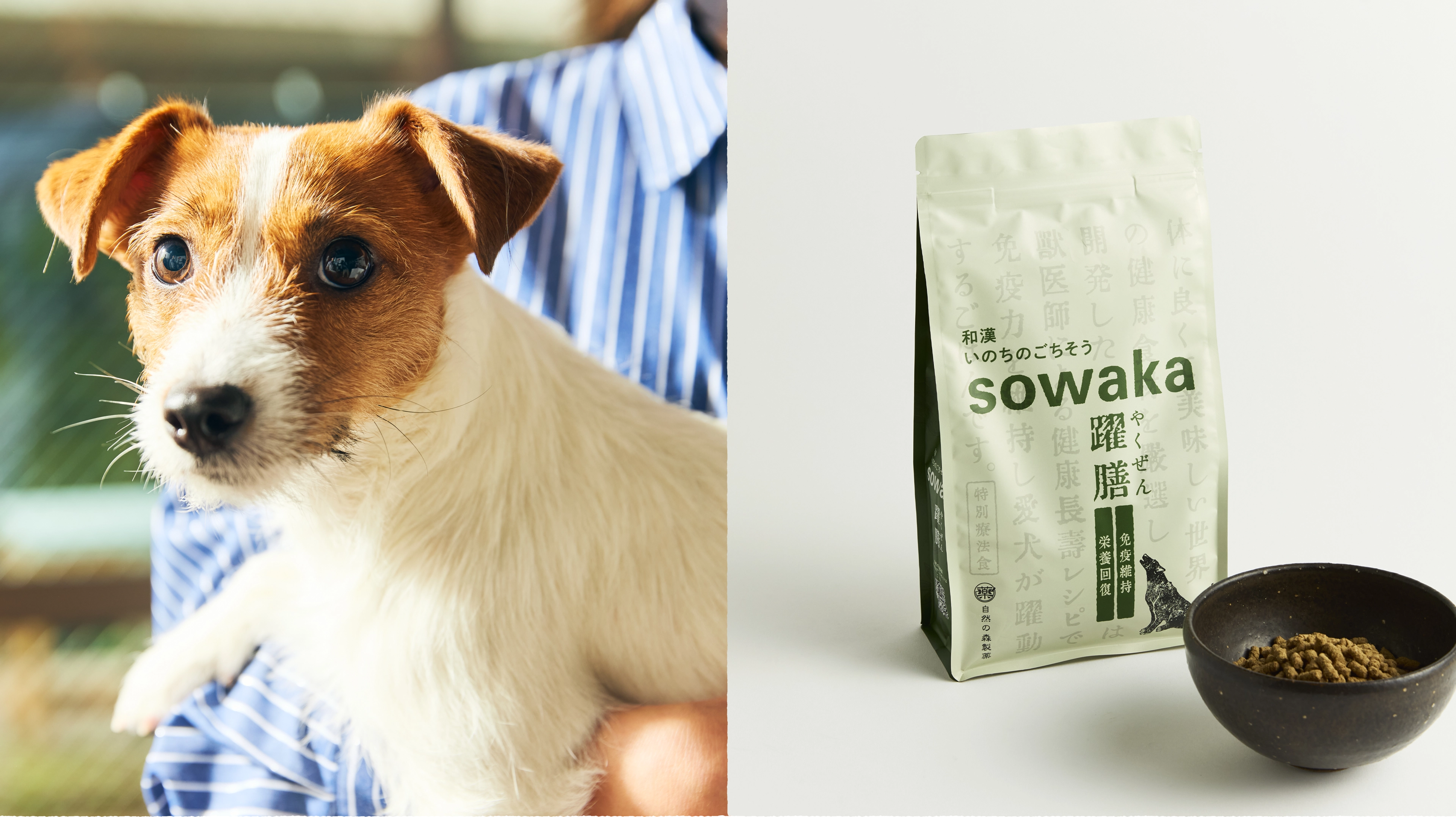 免疫ケアを考えた和漢素材たっぷりの高級ドッグフード