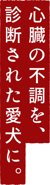 弁膜症や心音異常が心配なシニア犬にも対応したsowaka心臓用