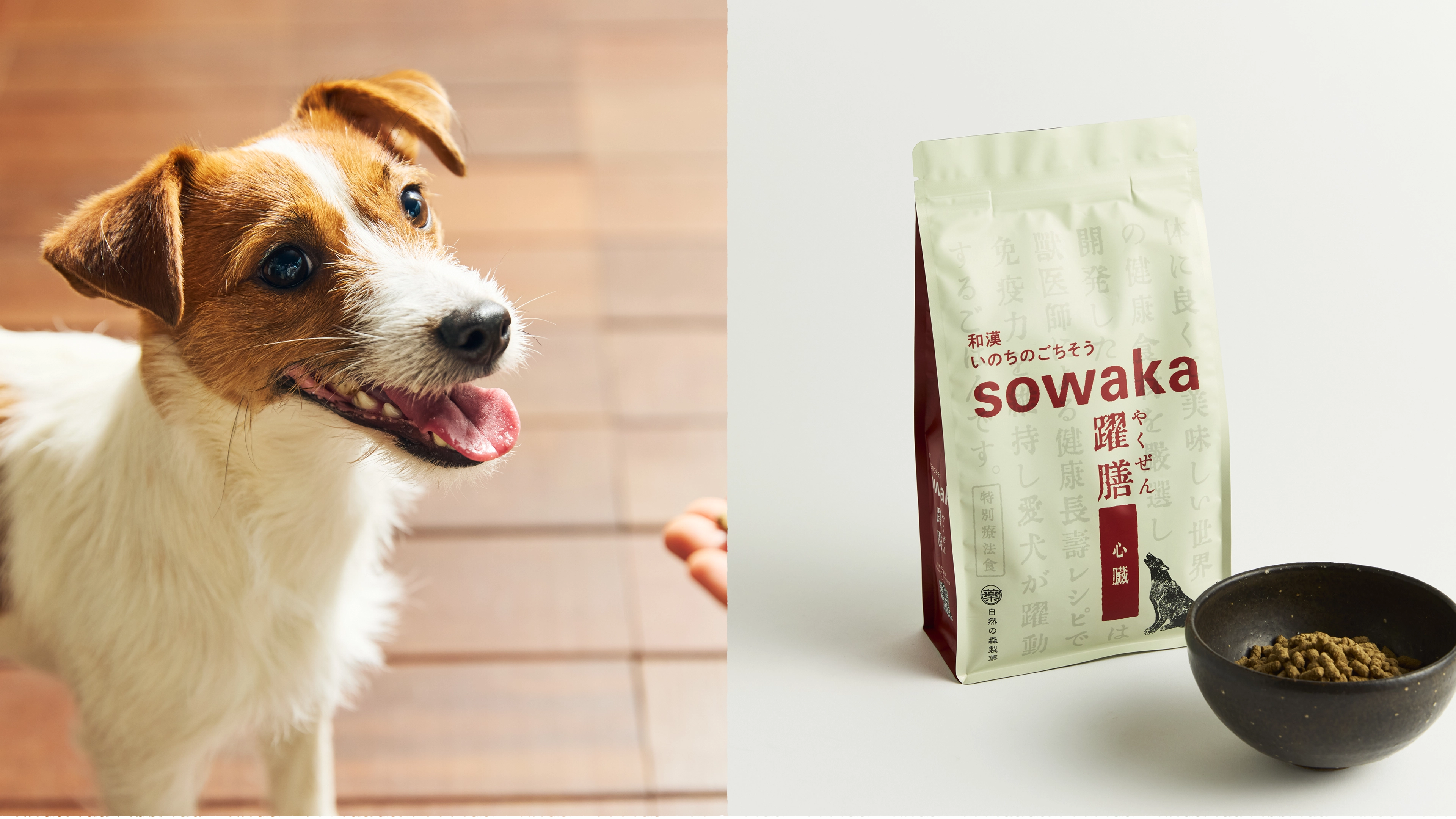 肺水腫に配慮した低塩・無添加の犬用心臓病ケアフード