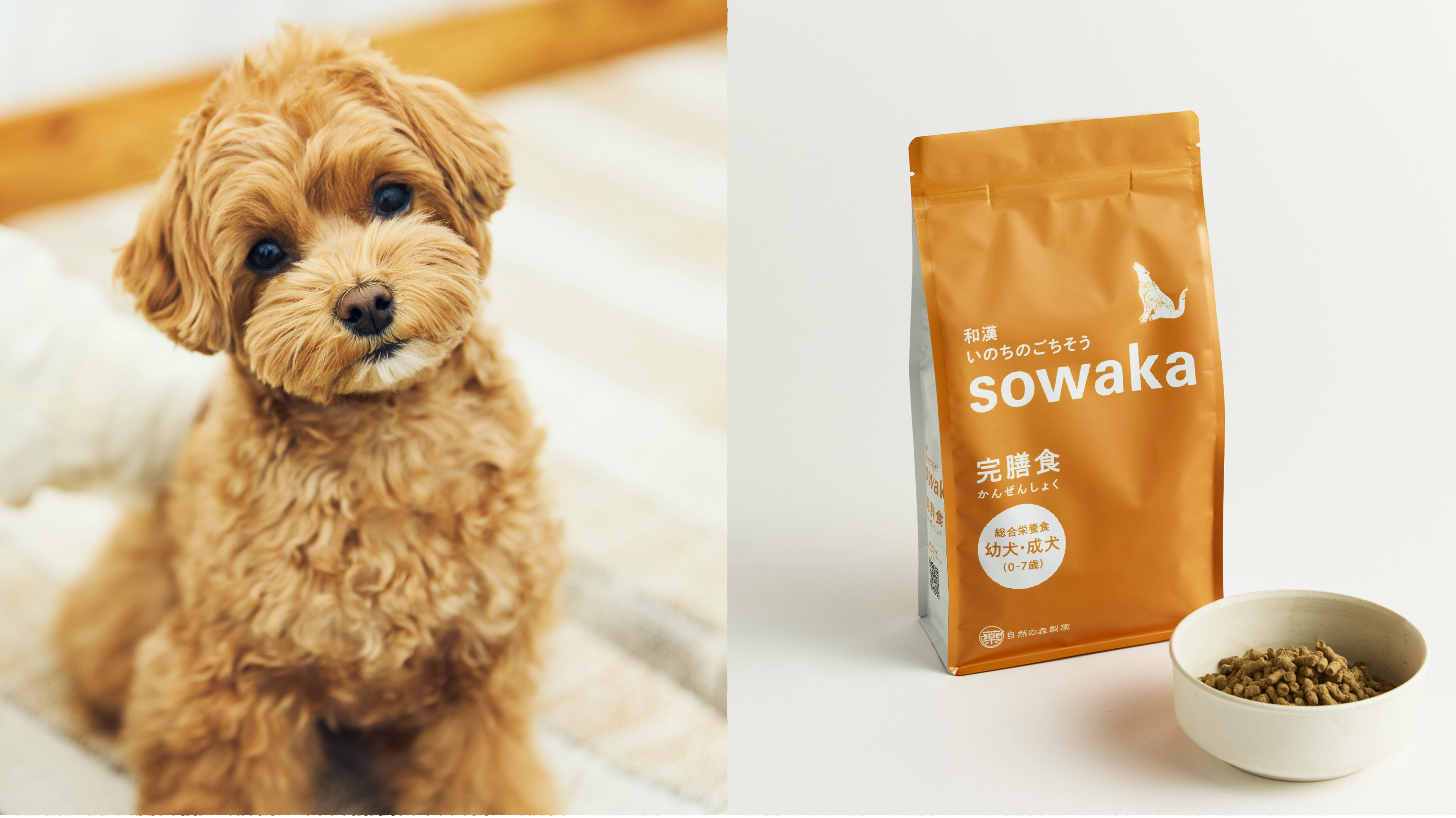 和漢植物120種配合で自然治癒力をサポートする高級ドッグフード