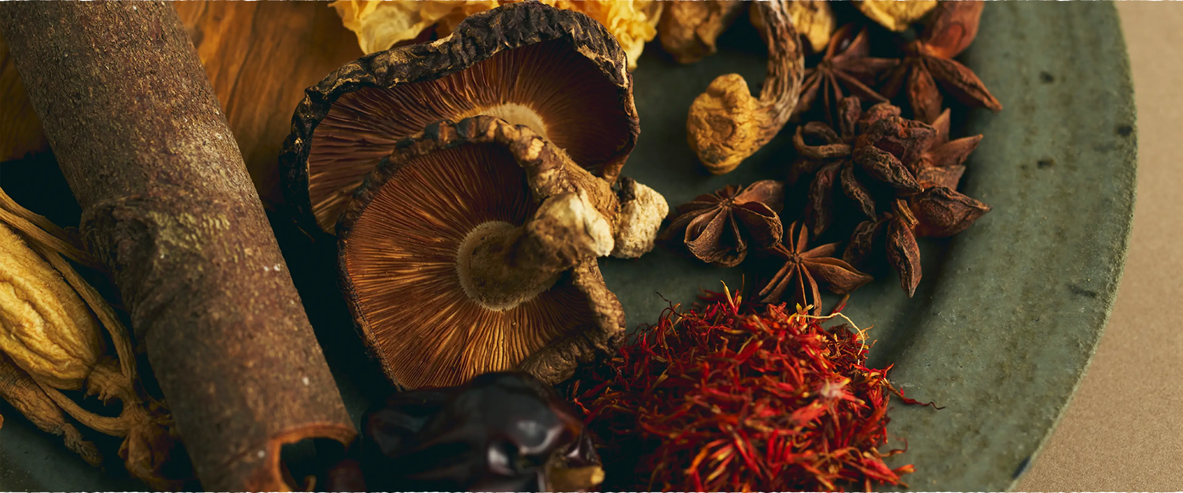 特別療法 sowaka 躍膳ドッグフード シリーズ　高品質和漢素材