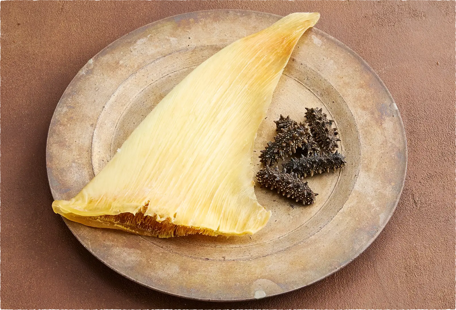 心音異常に悩む愛犬に、漢方と栄養で寄り添うsowaka