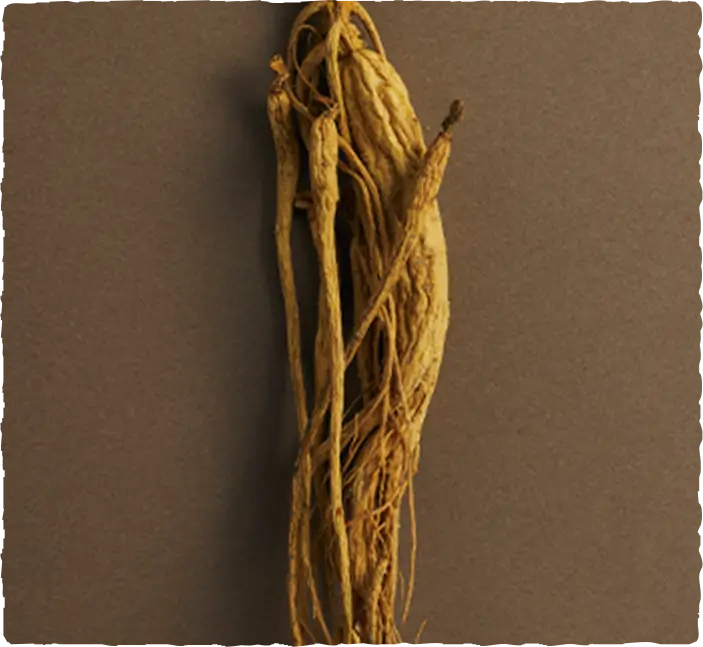 朝鮮人参 | 特別療法 sowaka 躍膳ドッグフード シリーズ　高品質和漢素材