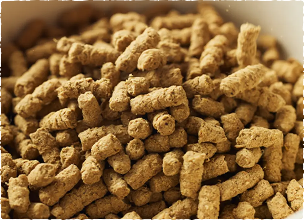 自然由来で嗜好性の高い素材を配合したドッグフード