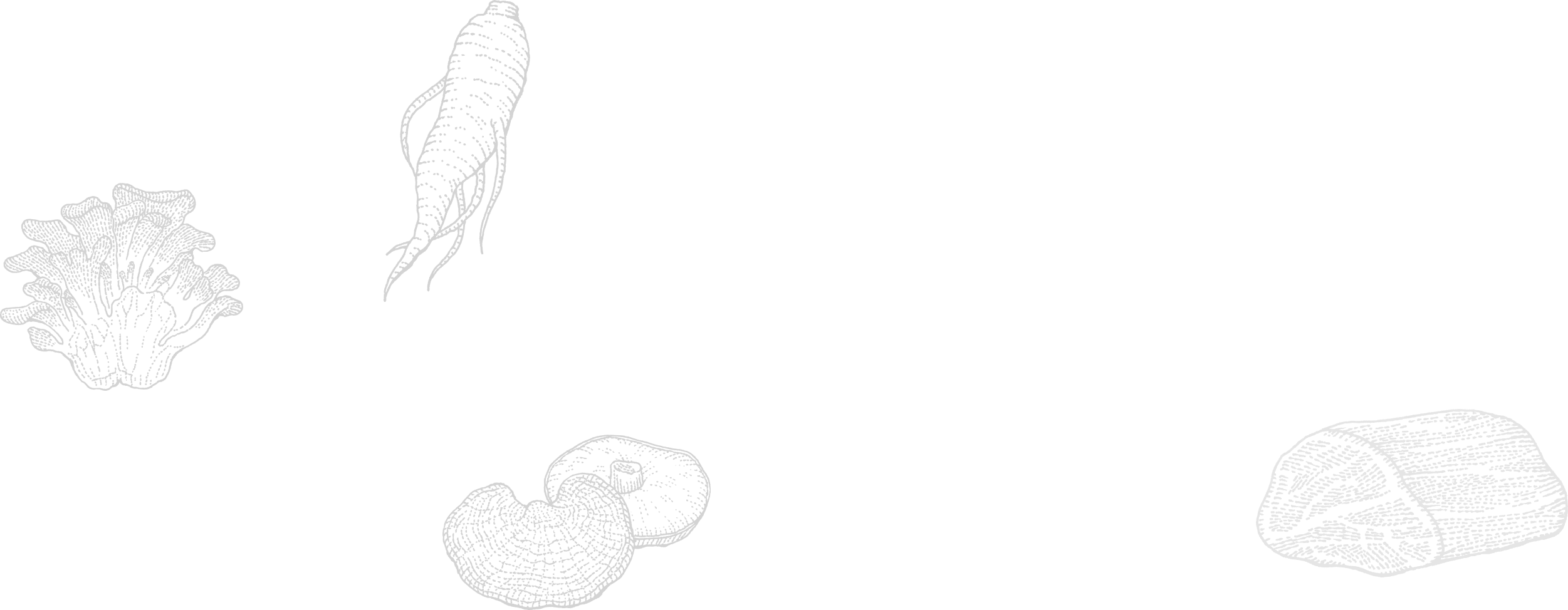 健康寿命を決める「腸」のために、低糖質の無農薬野菜でサポート。